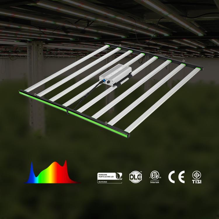 Lm301h Evo 281b Pełnospektraln – Plant Grow Light Full Spectrum recenzja i cena