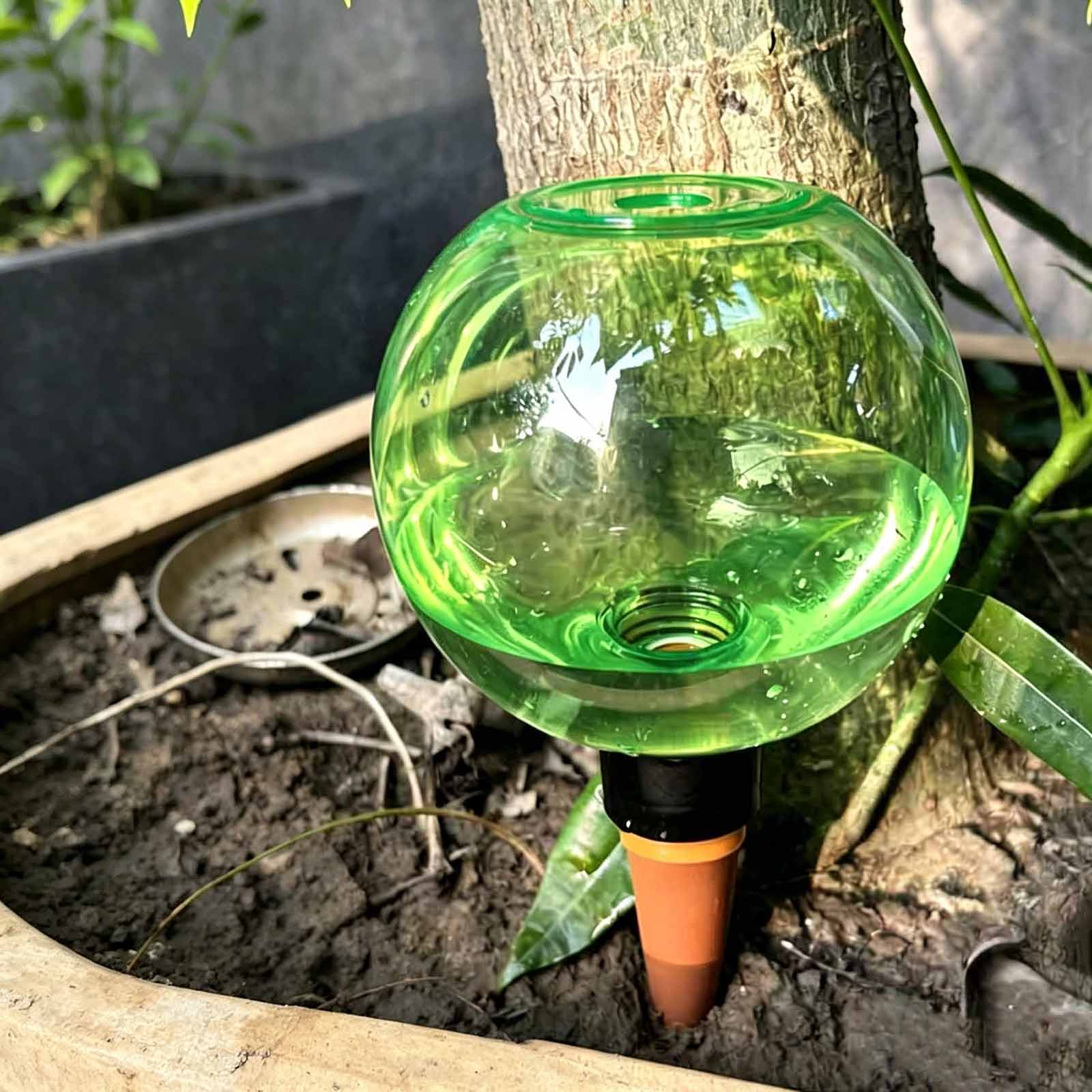 1/4 szt. Kulki do podlewania r – Plant Watering Globe recenzja i cena