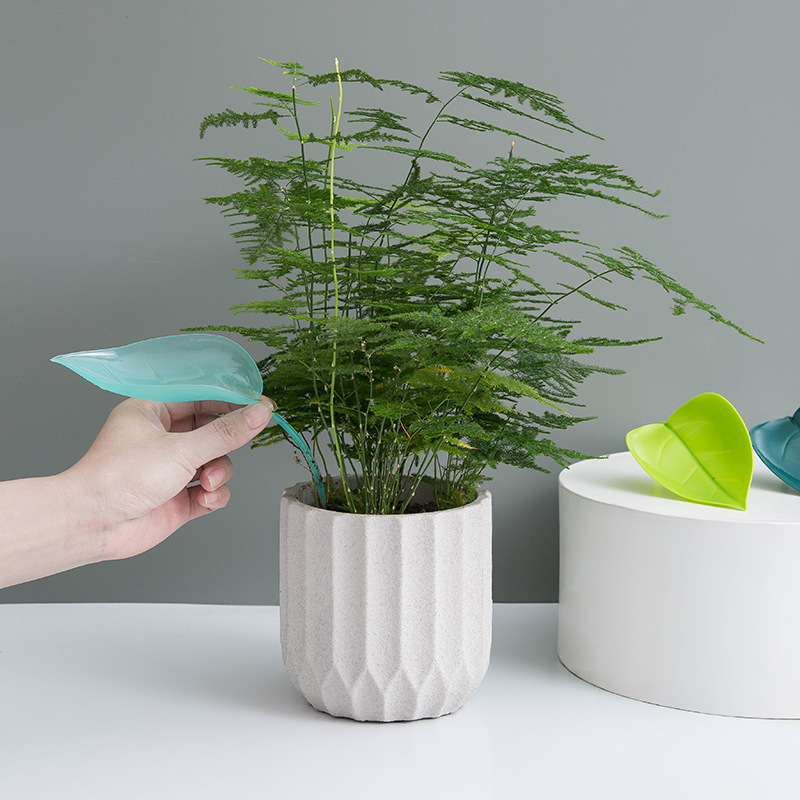 Kreatywny lejek do podlewania  – Plant Watering Globe recenzja i cena