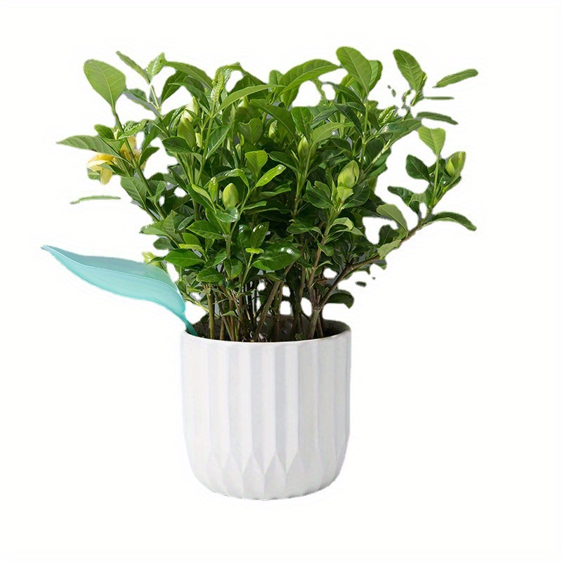 Kreatywny lejek do podlewania  – Plant Watering Globe recenzja i cena