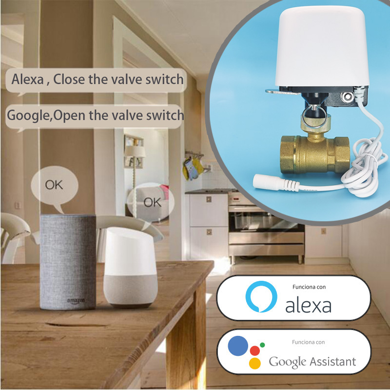 Inteligentny zawór wodny Smart – Smart Garden Home Assistant recenzja i cena