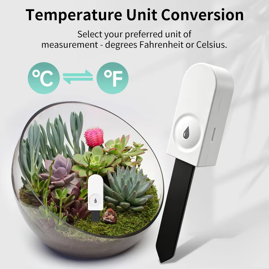 Monitor stanu roślin Zigbee 3. – Smart Garden Monitor recenzja i cena