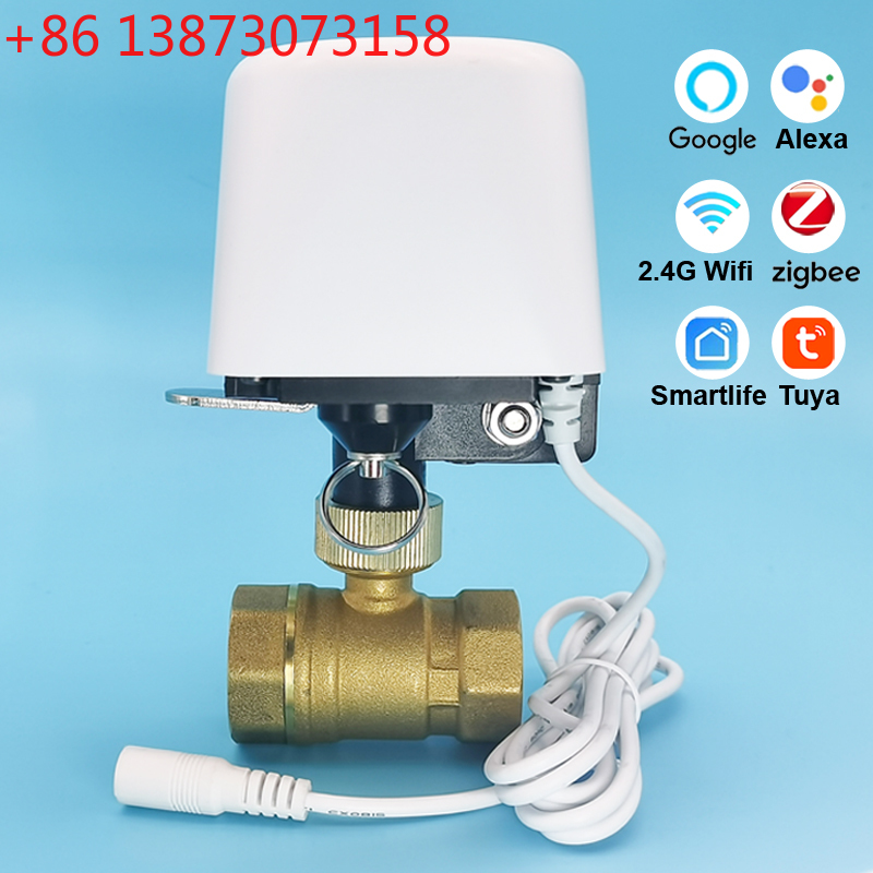 Zawór wodny Tuya Zigbee Wifi 1 – Smart Garden Home Assistant recenzja i cena