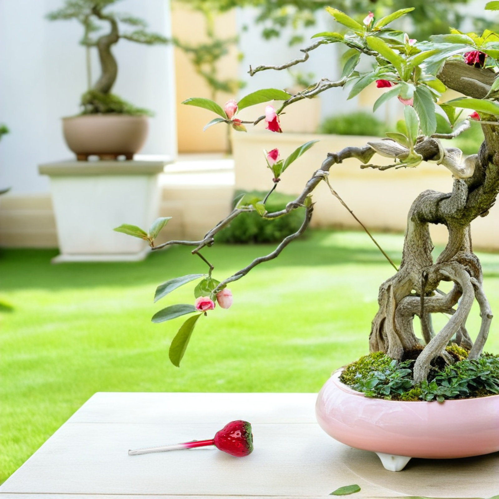 2 sztuki szklanych kulek do po – Plant Watering Globe recenzja i cena