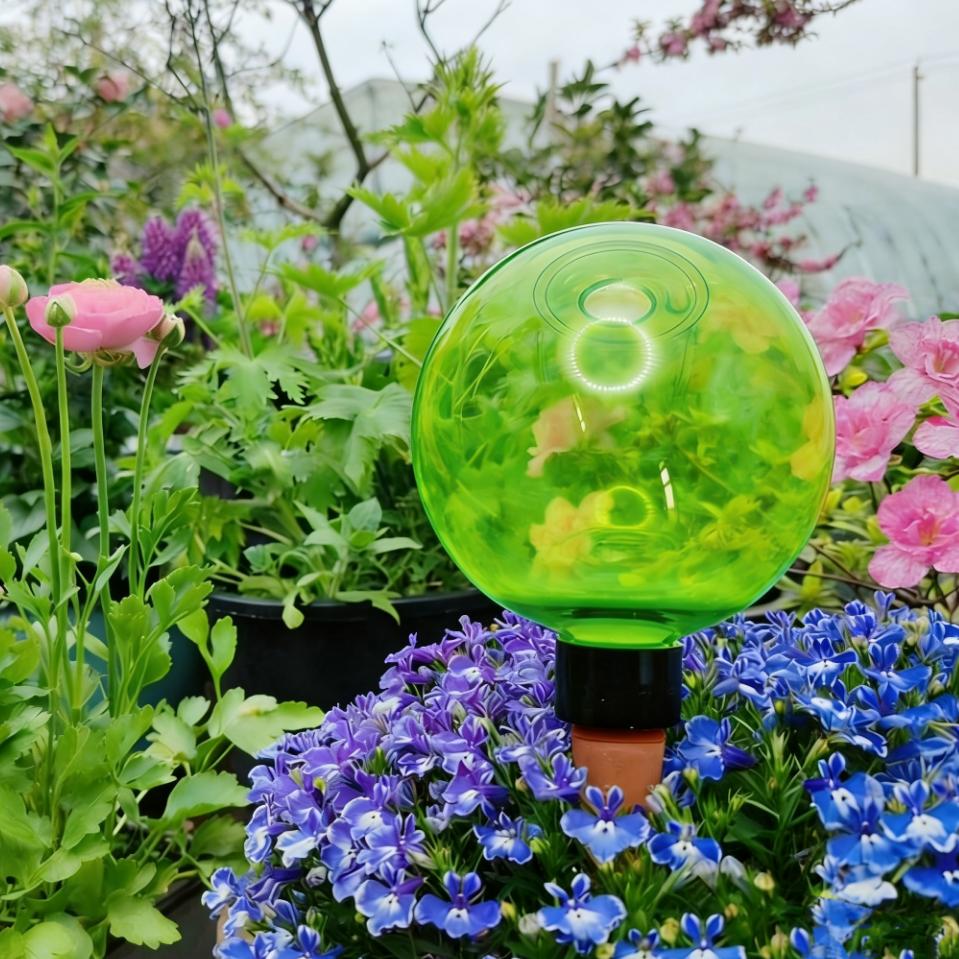 3 szt. Duże plastikowe kule do – Plant Watering Globe recenzja i cena