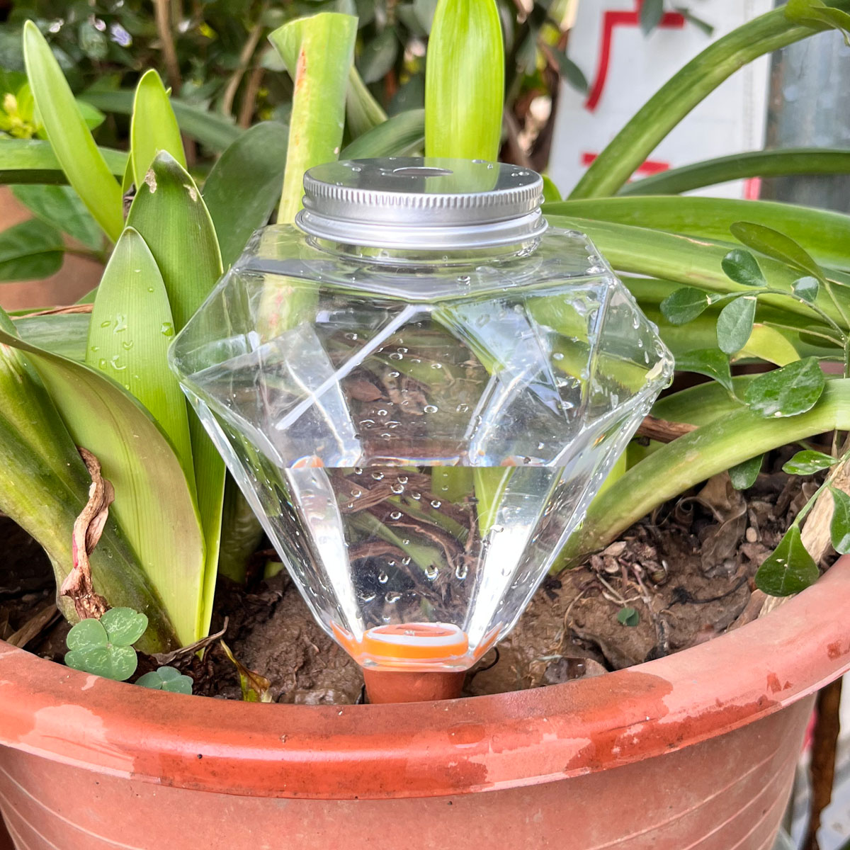1 szt. Urocza plastikowa maszy – Plant Watering Globe recenzja i cena