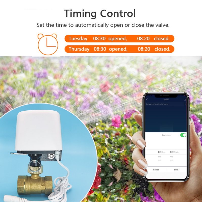 Zawór wodny WiFi Zigbee Tuya,  – Smart Garden Home Assistant recenzja i cena